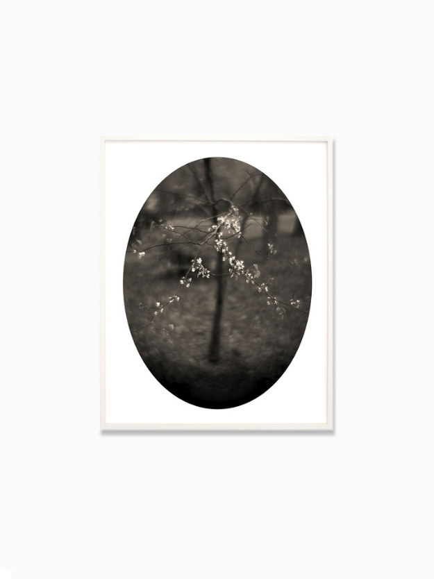 Linda Foard Roberts　Passage　パッセージ　静謐 Linda Foard Roberts: Passage — Radius Books